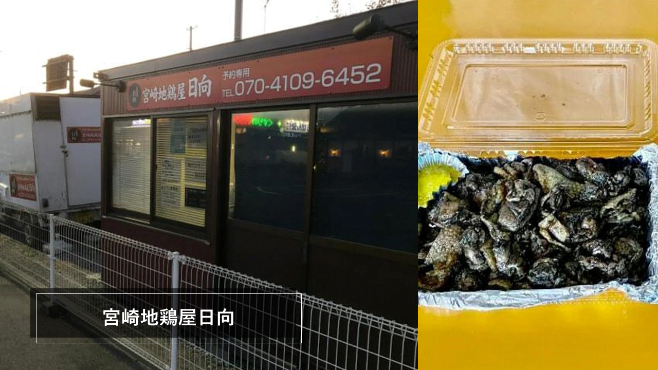 宮崎地鶏屋日向